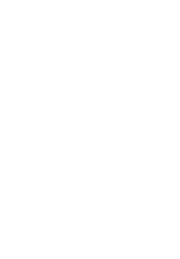 Next Web Capital logo